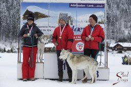 Lenk 2015