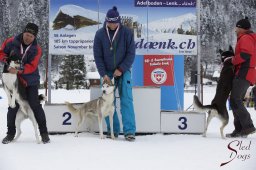 Lenk 2015