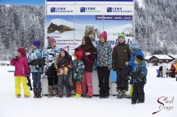 Lenk 2015