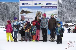 Lenk 2015