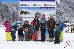 Lenk 2015