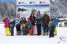 Lenk 2015