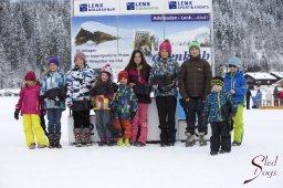 Lenk 2015