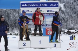 Lenk 2015