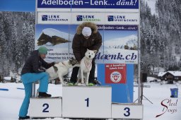 Lenk 2015