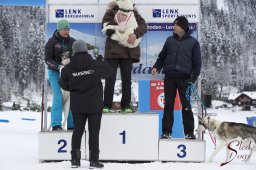 Lenk 2015