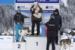 Lenk 2015