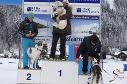 Lenk 2015