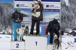 Lenk 2015