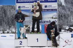 Lenk 2015