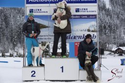 Lenk 2015