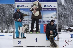 Lenk 2015