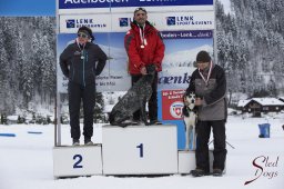 Lenk 2015