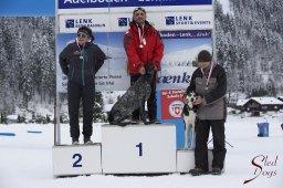 Lenk 2015