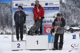 Lenk 2015