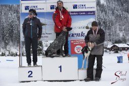 Lenk 2015