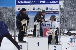 Lenk 2015