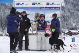 Lenk 2015