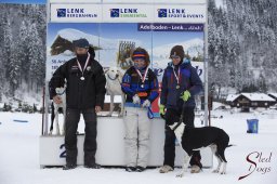 Lenk 2015