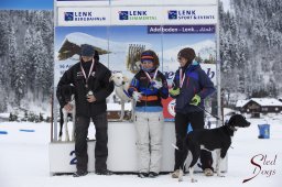 Lenk 2015