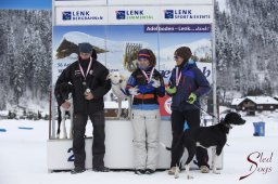 Lenk 2015