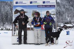 Lenk 2015