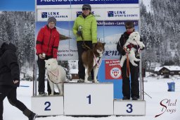 Lenk 2015