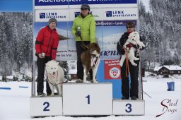 Lenk 2015