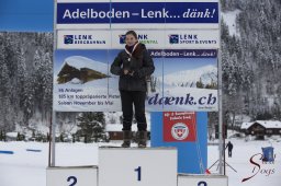 Lenk 2015