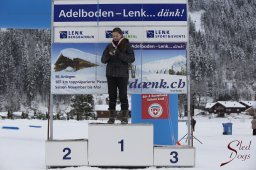 Lenk 2015