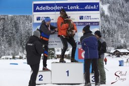 Lenk 2015