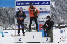 Lenk 2015