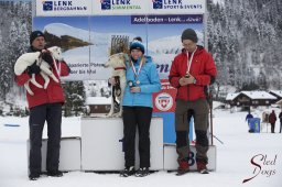 Lenk 2015