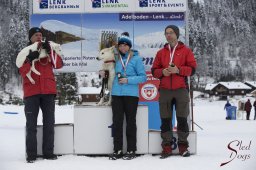 Lenk 2015