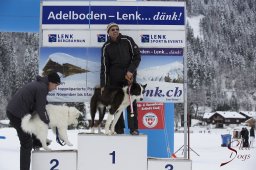 Lenk 2015