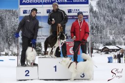 Lenk 2015